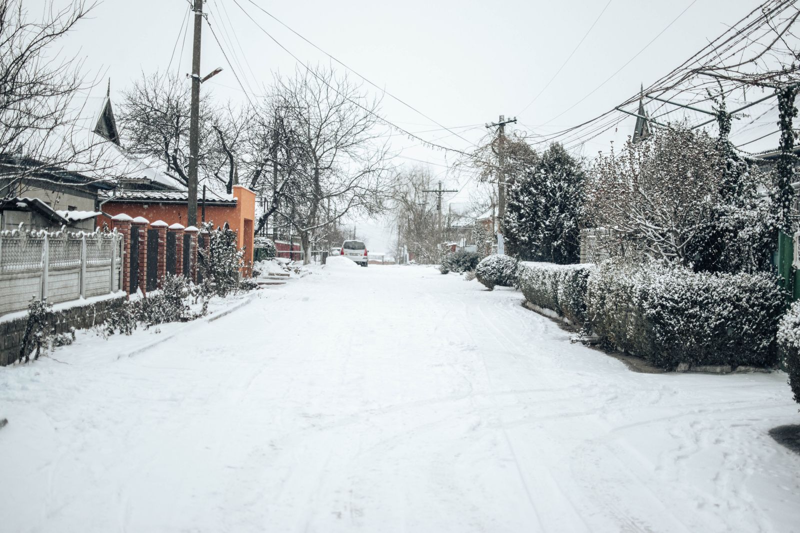 Tranquil snow-covered street in winter showcasing bare trees and residential houses.