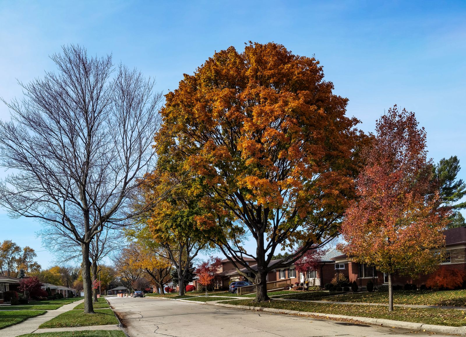 Homes in Lakewood, Ohio